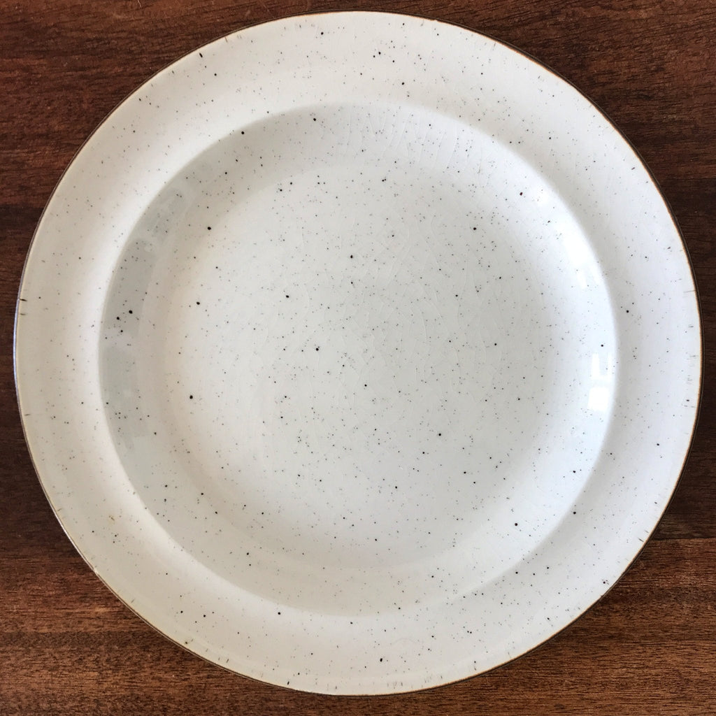 Lot de 4 grandes assiettes en céramique mouchetée anglaise diamètre 25 cm par Hello Broc brocante en ligne