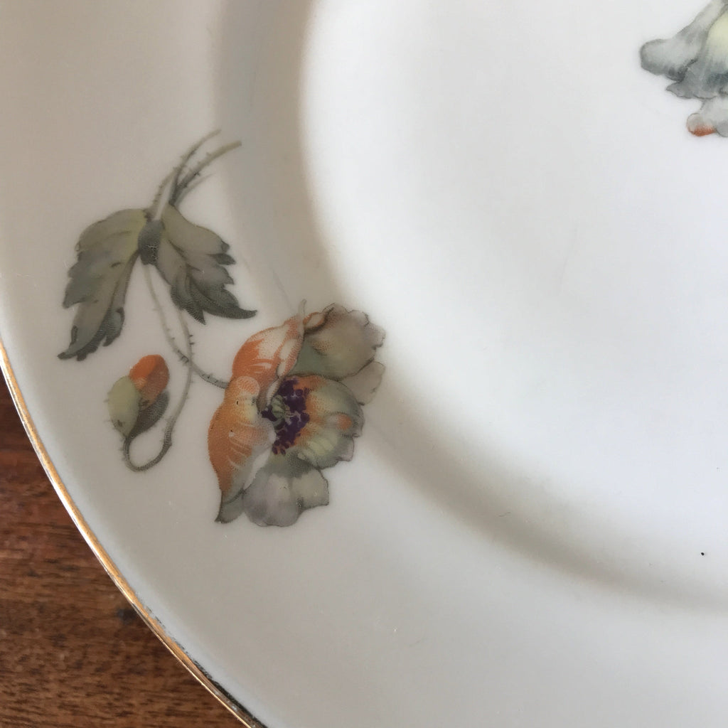 Lot de 6 assiettes plates ULIM Limoges France décor pavots par Hello Broc brocante en ligne