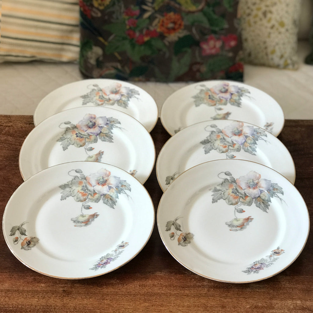 Lot de 6 assiettes plates ULIM Limoges France décor pavots par Hello Broc brocante en ligne