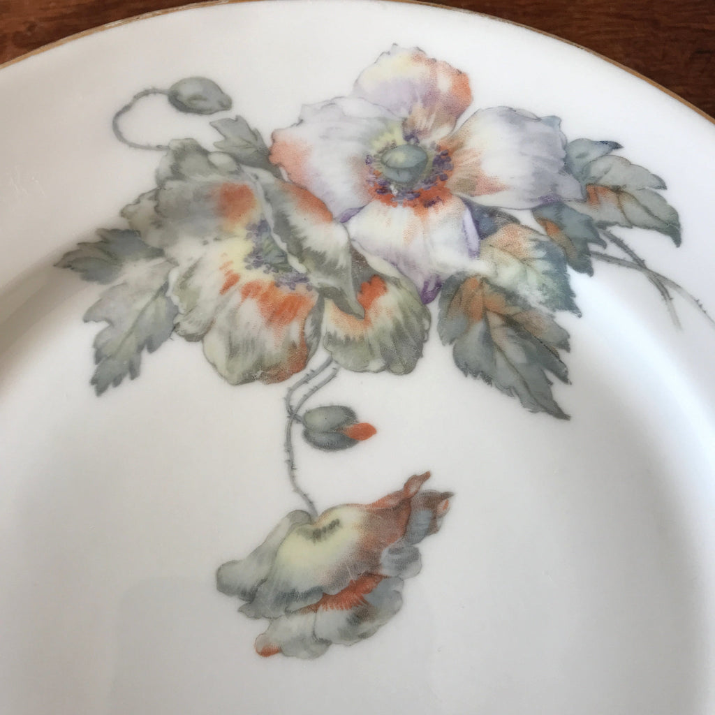 Lot de 6 assiettes plates ULIM Limoges France décor pavots par Hello Broc brocante en ligne