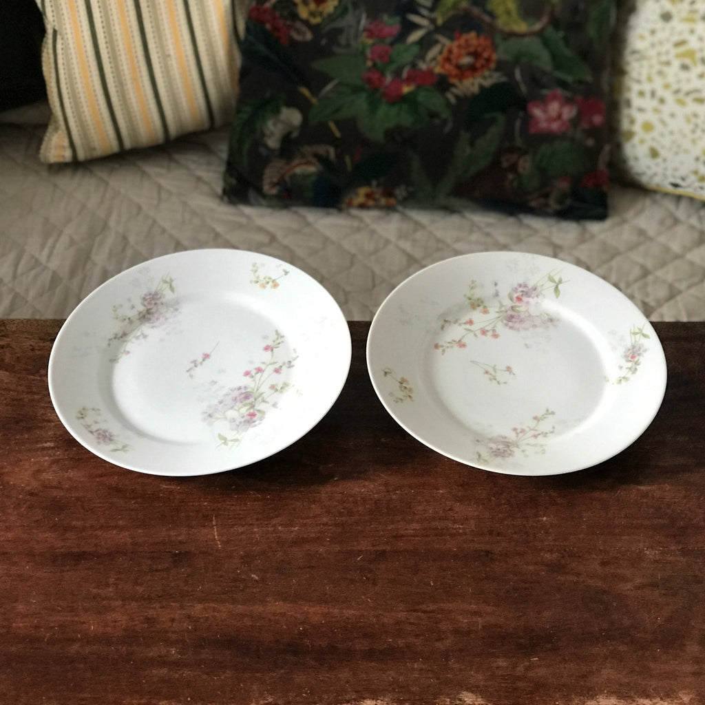 Paire d'assiettes plates en porcelaine de Limoges W. G. & Co pour Guérin & Co - Hello Broc