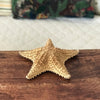 Grande étoile de mer à 5 branches par Hello Broc brocante en ligne