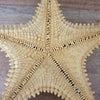 Grande étoile de mer à 5 branches par Hello Broc brocante en ligne