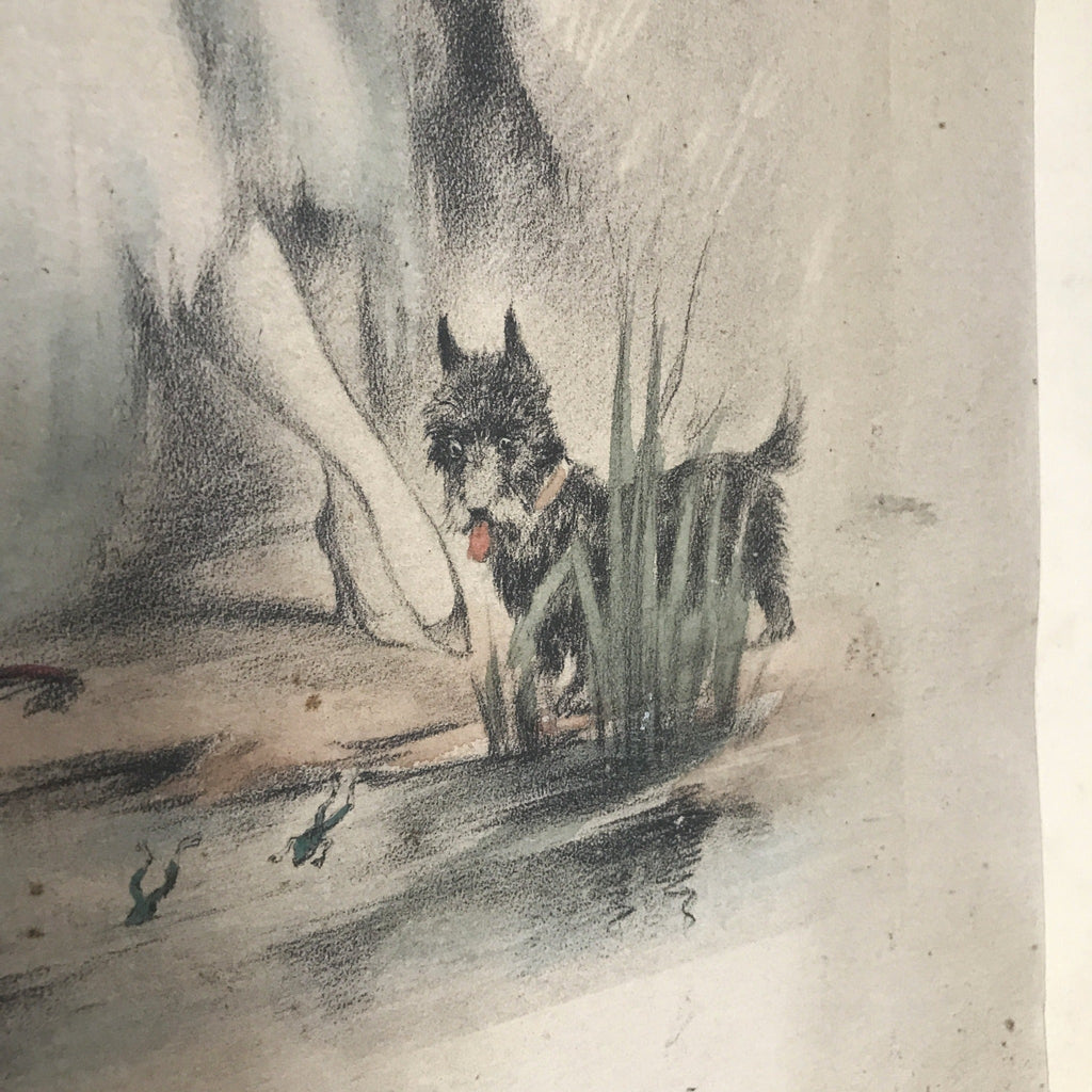 Illustration dessin aquarellé de E. Naudy - Femme au bord d'un étang avec son chien Circa 1920 - Hello Broc