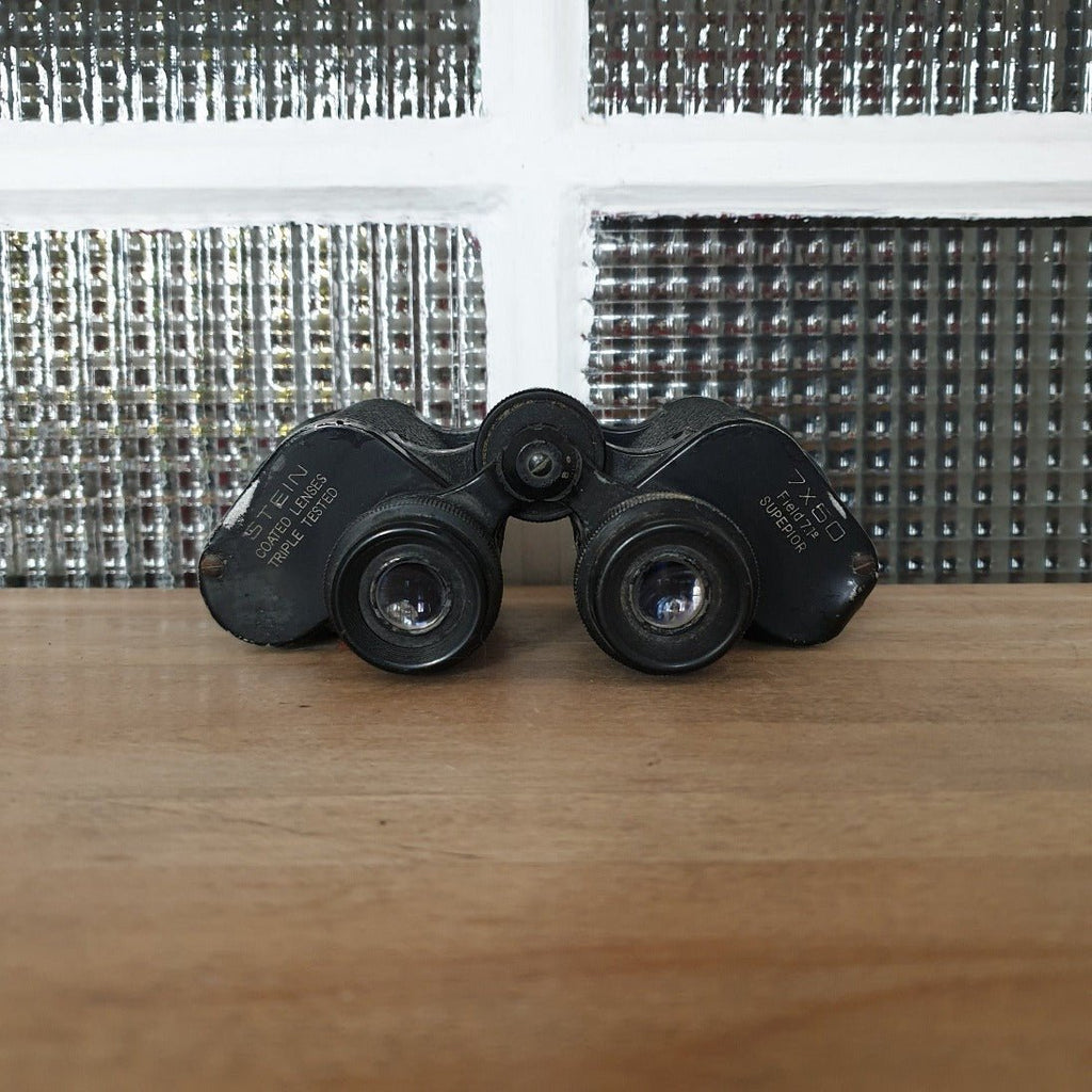 Stein binoculars store