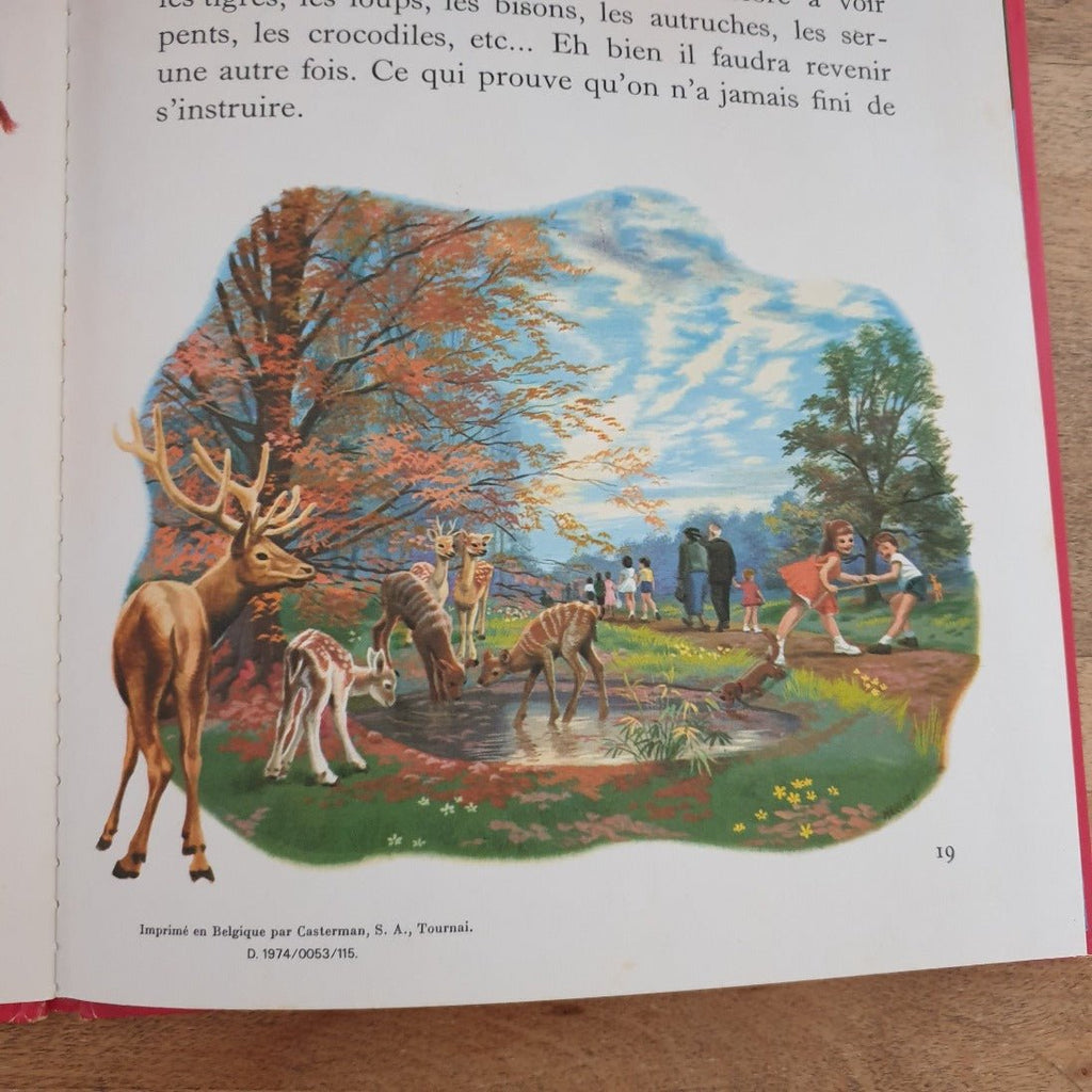 Livre illustré pour enfant Martine au zoo 1974 - Hello Broc