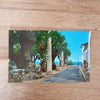 Lot de 3 cartes postales anciennes souvenir de Cherchell en Algérie - Hello Broc