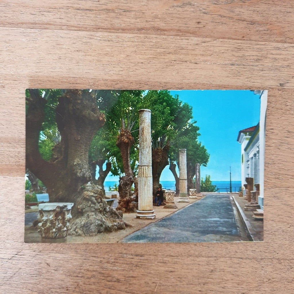 Lot de 3 cartes postales anciennes souvenir de Cherchell en Algérie - Hello Broc