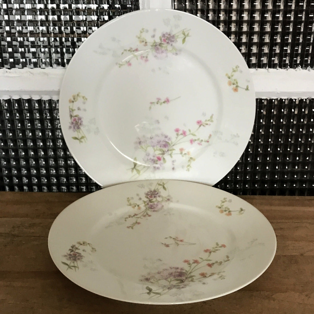 Paire d'assiettes plates en porcelaine de Limoges W. G. & Co pour Guérin & Co - Hello Broc